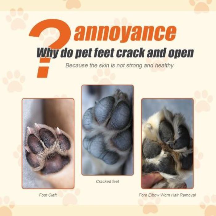 Natural Plant Formula Pet Paw Balm For Cats And Dogs, Softens Dry Paw Pads, Lick-Proof, 1.7 Oz Paw Balm Health Beauty CJ USa USPS Muqe https://www.cyberehub.com