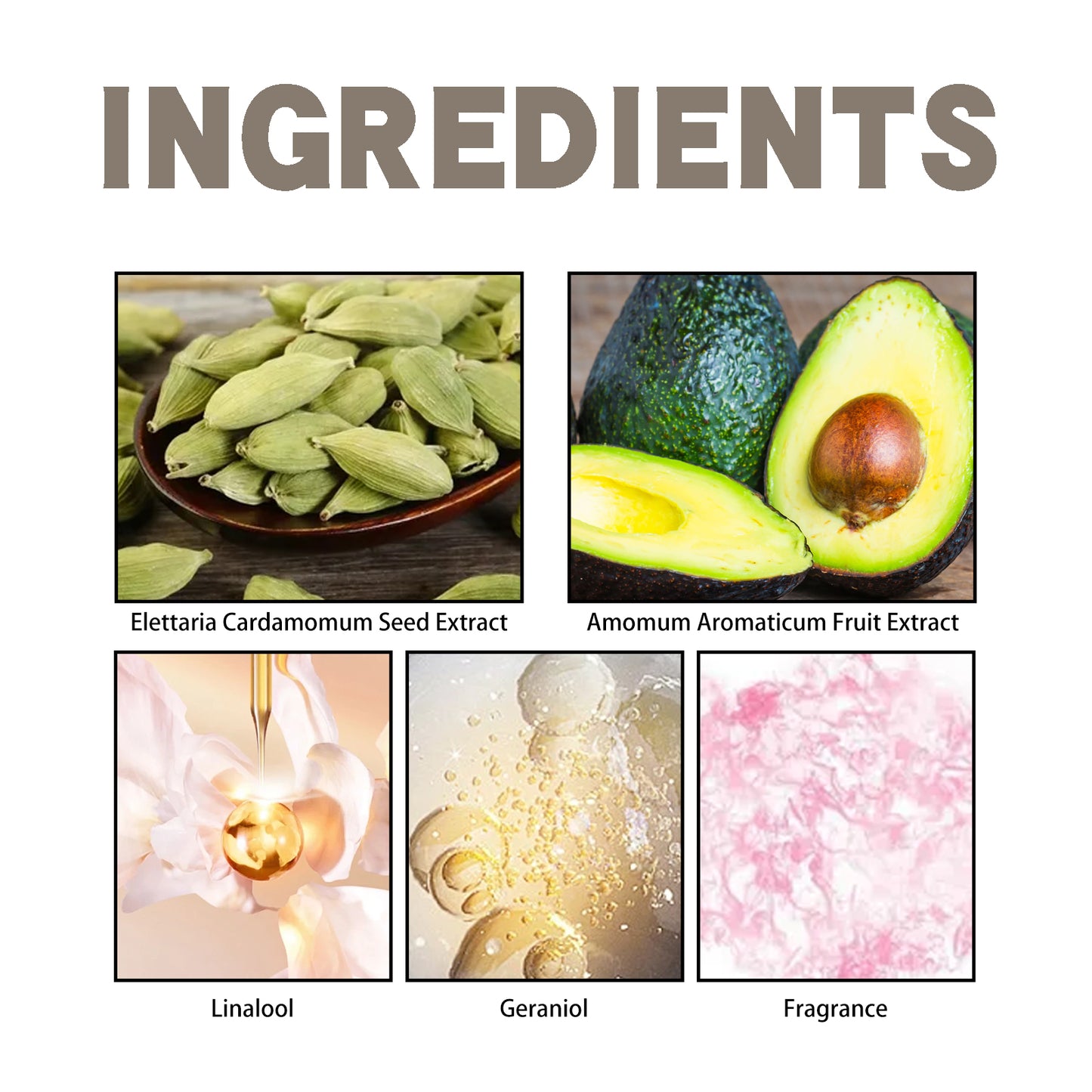 Cardamom Tonka Scent Experience Perfume, Natural Fragrance Light Elegant Lasting Fragrance Mild Portable Date Atmosphere Perfume Health Eprolo https://www.cyberehub.com