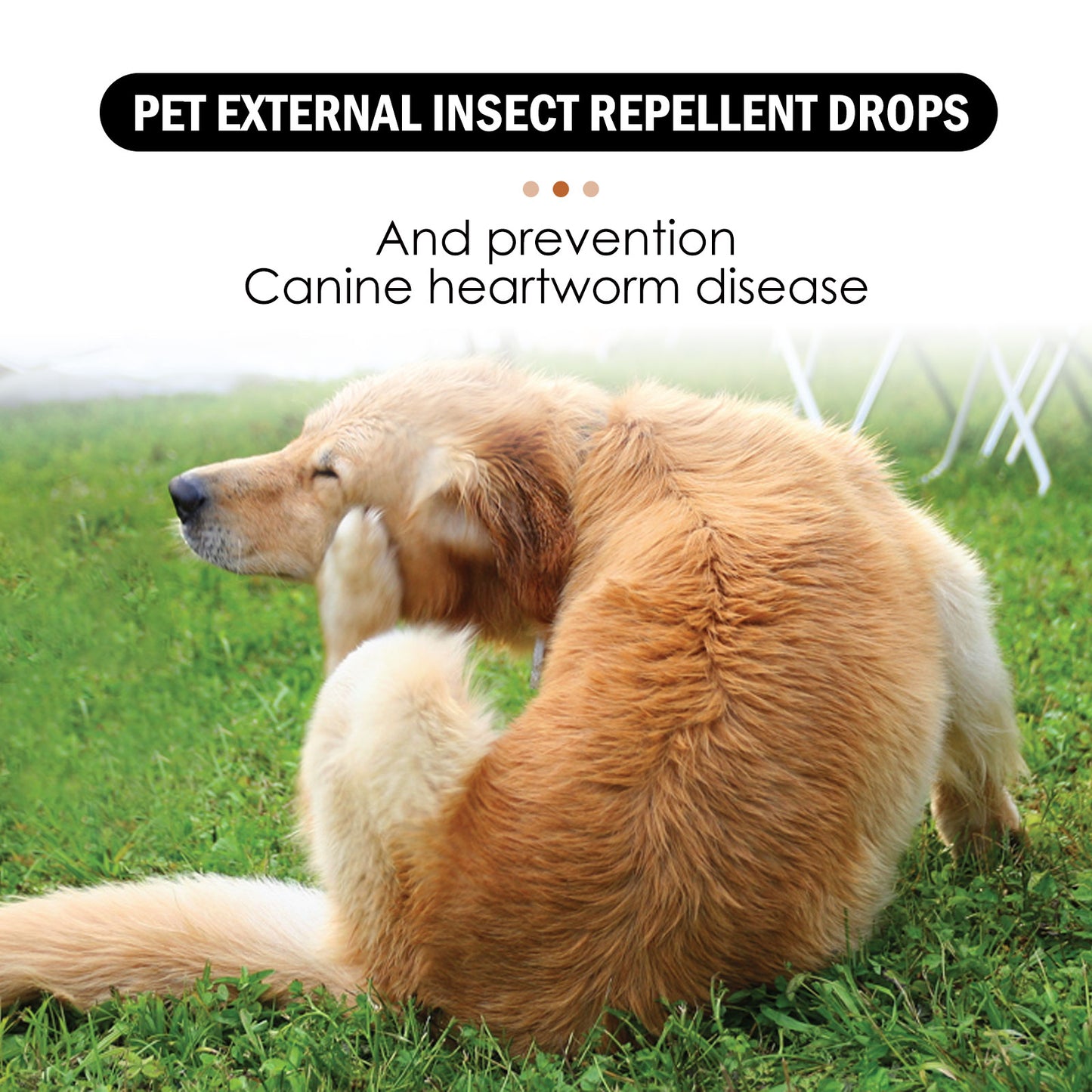 Yegbong Pet Extracorporeal Insect Repellent Drops, Cats And Dogs Clean To Remove Ticks And Fleas Drops Pet Supplies Pet Eprolo https://www.cyberehub.com
