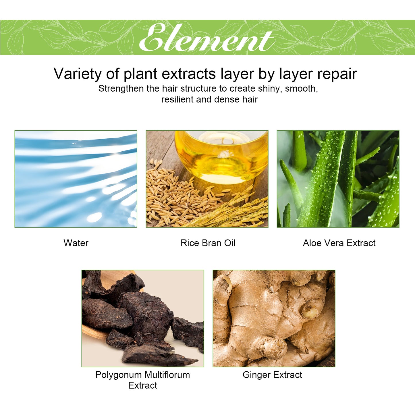 Ginger Care Shampoo Scalp Cleansing, Anti-Break Nourishing Root Strengthening Shampoo Health Eprolo https://www.cyberehub.com