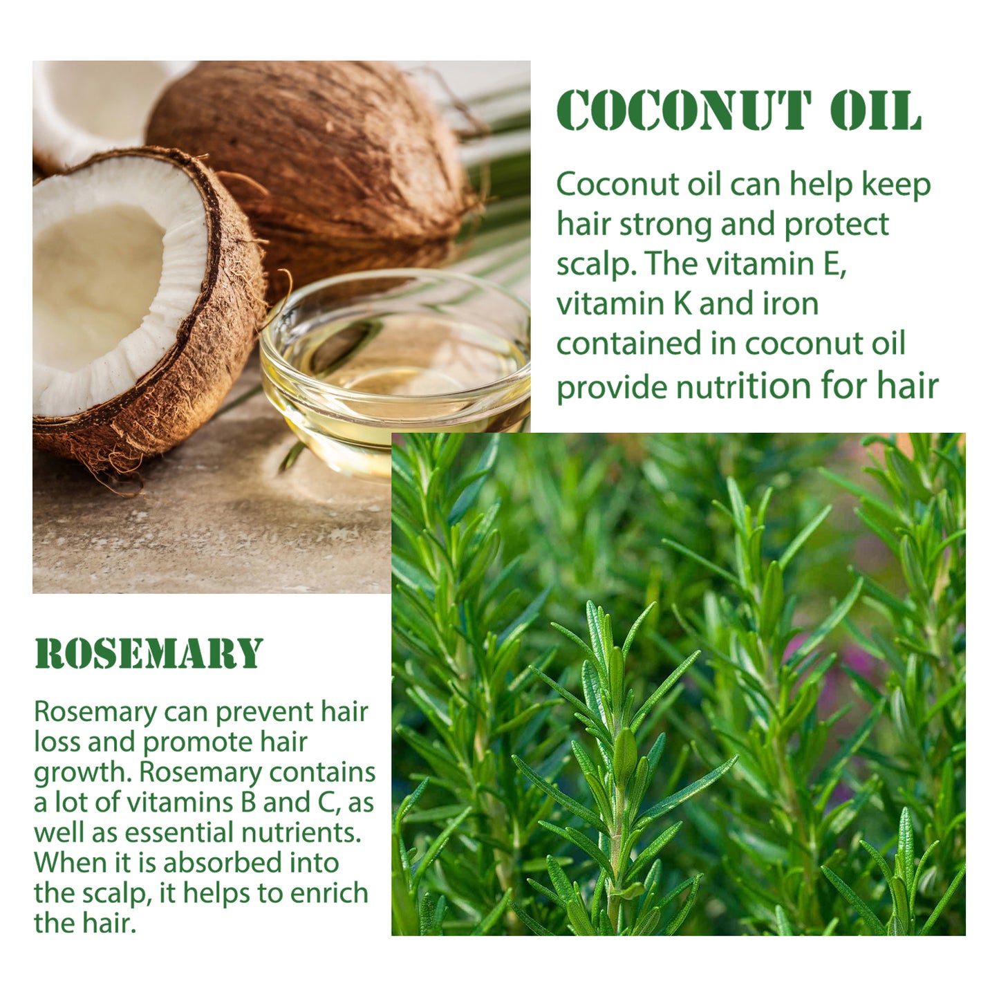 Rosemary Hair Dense Essential Oil, Prevent Hair Breakage And Hair Loss Strong, Strong And Solid Hair Moisturizing Root Dense Essential Oil Health Eprolo https://www.cyberehub.com