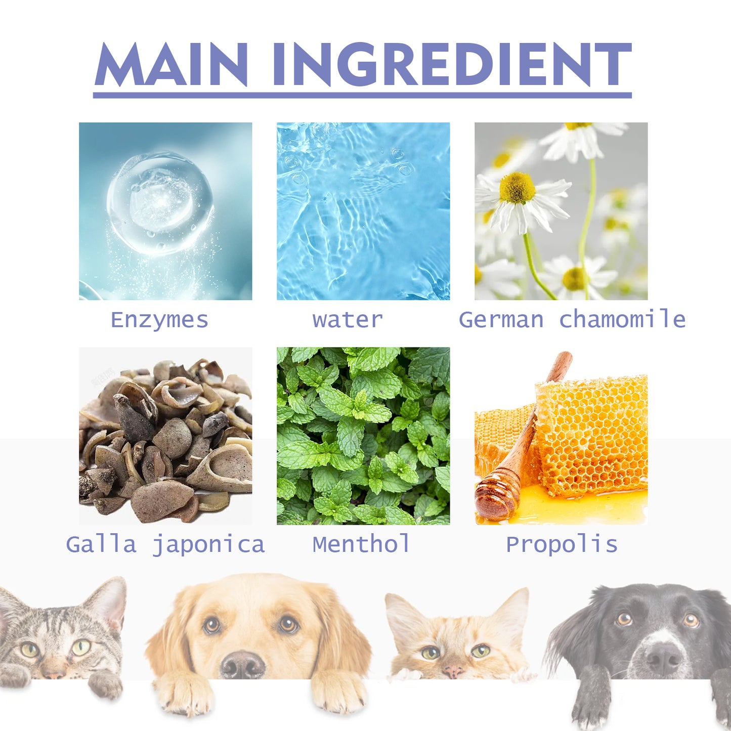 Yegbong Tooth Cleaning Spray For Cats And Dogs, Remove Tooth Stains Fresh Breath Pets Oral Care Spray Health Eprolo https://www.cyberehub.com