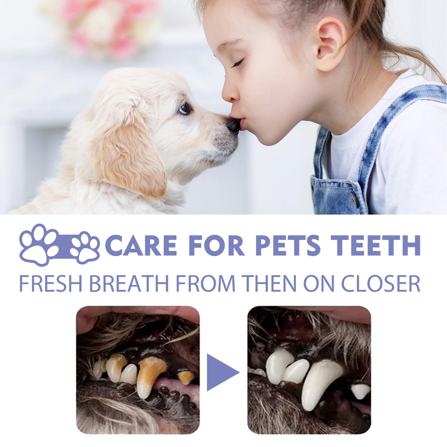 Yegbong Dog And Cat Tooth Cleaning Spray, Pet Mouth Cleaning Breath Fresh Deodorizing Cleaning Spray Pet Supplies Pet Eprolo https://www.cyberehub.com