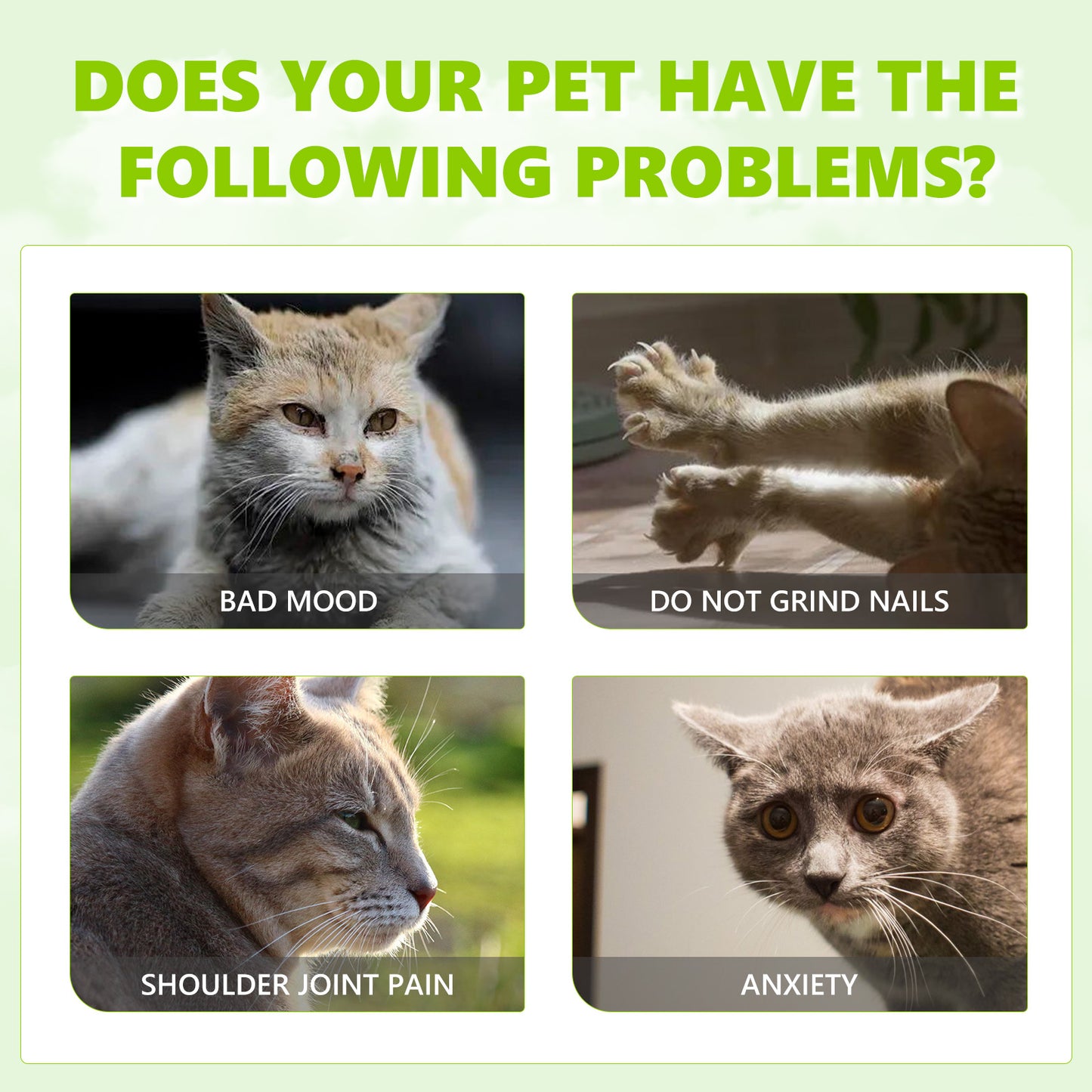 Catnip Spray, Relieve Cat Anxiety And Enhance Pet Vitality Health Care Spray Pet Eprolo https://www.cyberehub.com