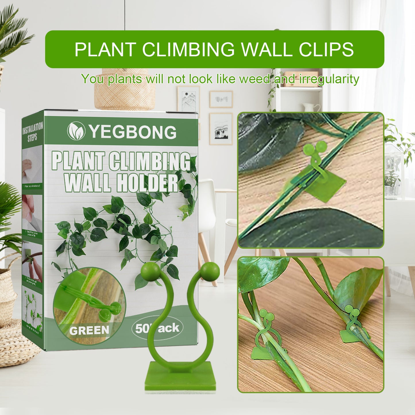 Plant Climbing Wall Holder, Household Vine Plant Wall Climbing Self-adhesive Retainer Health Eprolo https://www.cyberehub.com