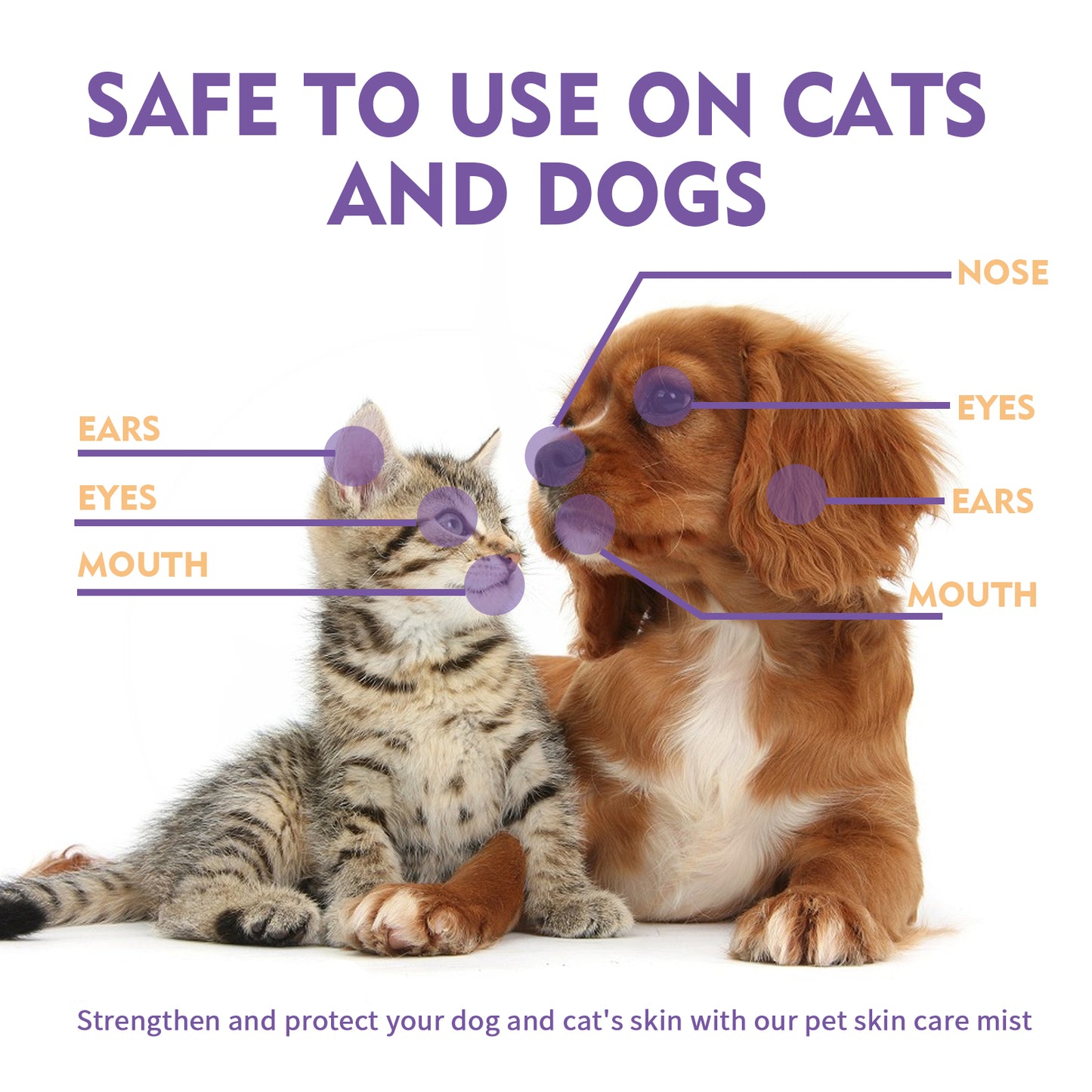 Yegbong Pet Skin Relief Spray, Relieves Dog And Cat Skin Itchiness Eliminates Mites Cleaning Care Spray Pet Supplies Pet Eprolo https://www.cyberehub.com