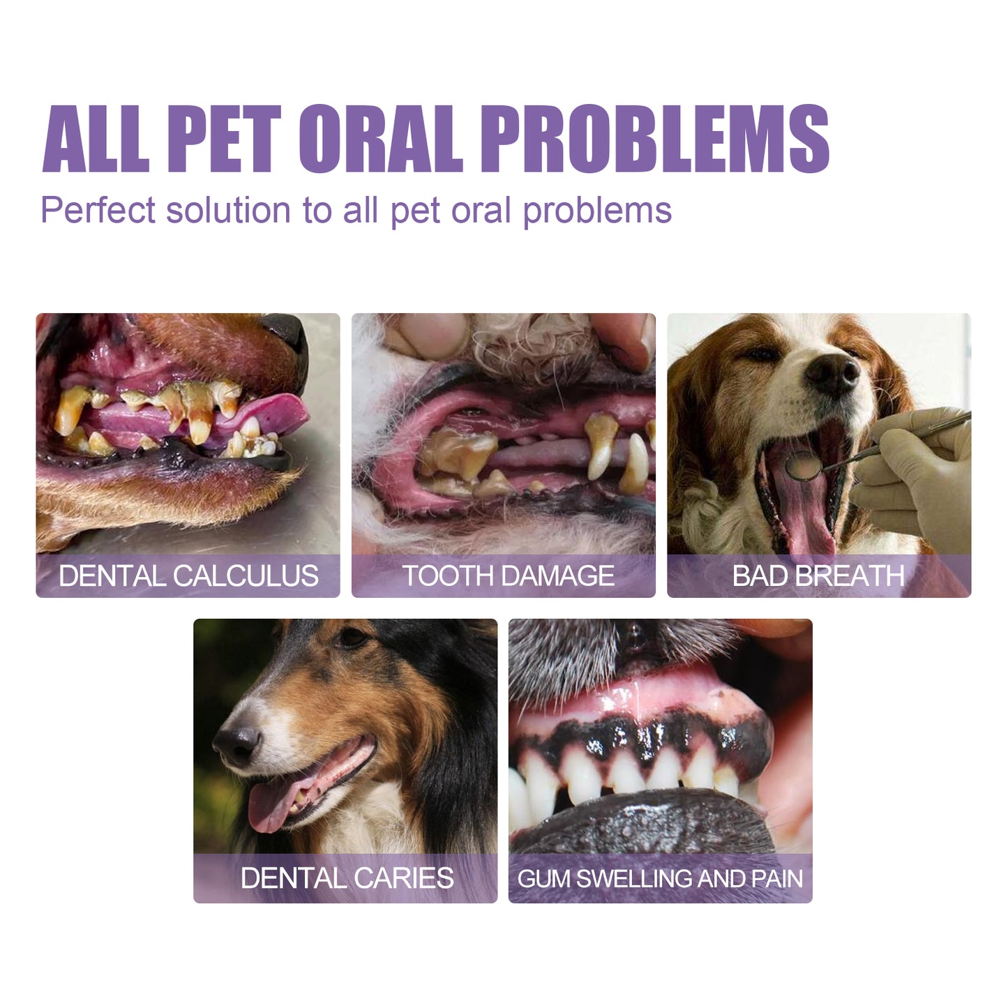 Yegbong Pet Oral Repair Gel, Deep Cleaning Dog And Cat Tooth Stains Oral Cleaning Care Pet Supplies Pet Eprolo https://www.cyberehub.com