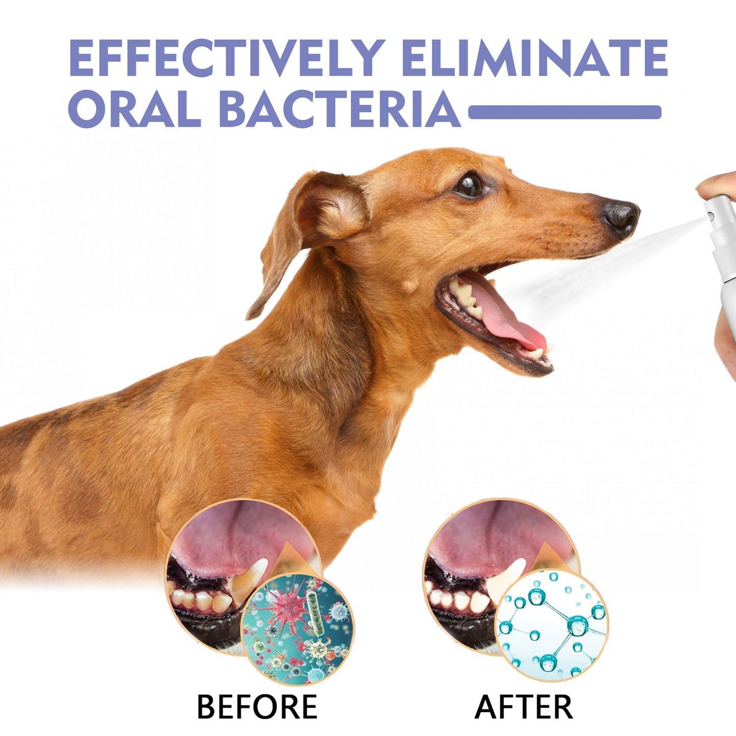 Yegbong Tooth Cleaning Spray For Cats And Dogs, Remove Tooth Stains Fresh Breath Pets Oral Care Spray Health Eprolo https://www.cyberehub.com