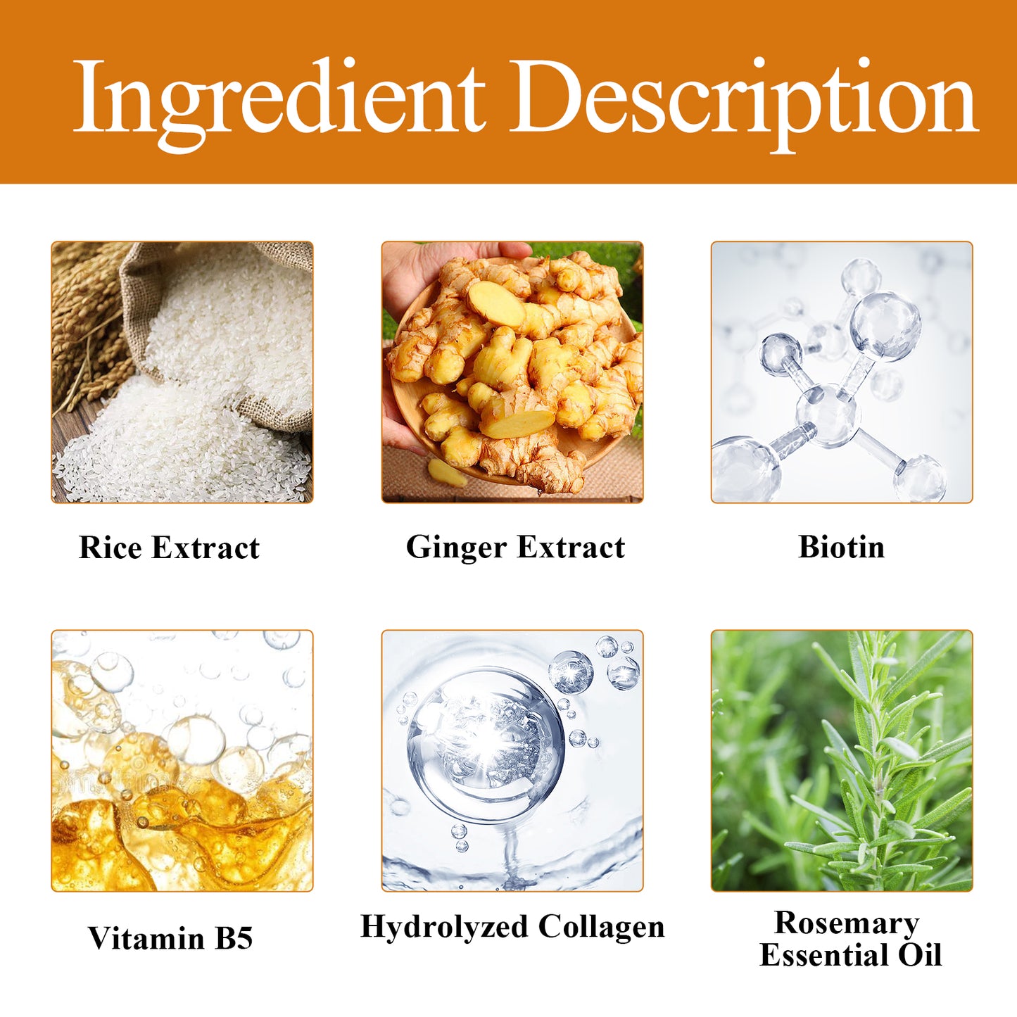 Rice Dense Hair Shampoo Deep Clean Thick Hair Moisturizing Hair Root Solid Hair Care Shampoo Health Eprolo https://www.cyberehub.com