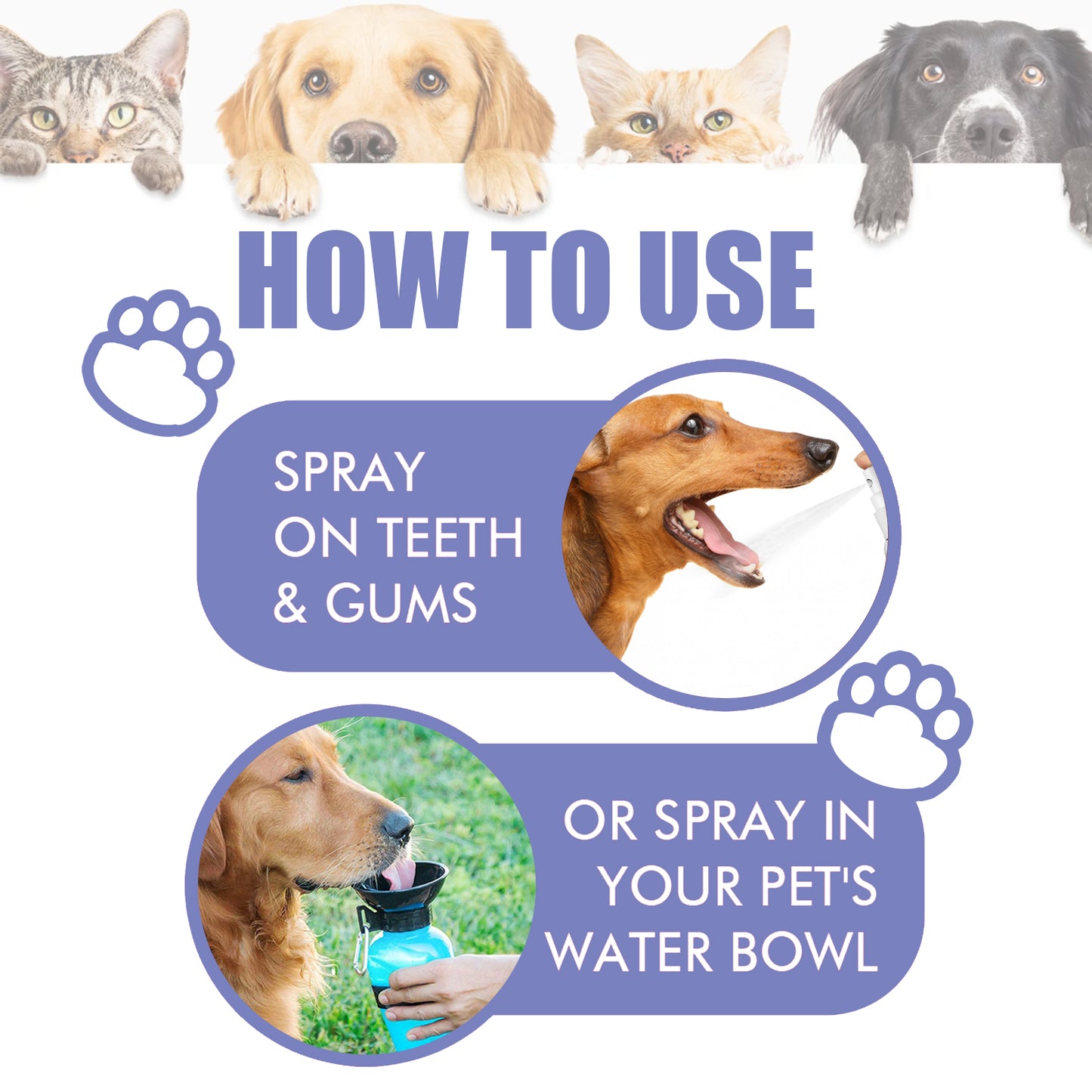 Yegbong Tooth Cleaning Spray For Cats And Dogs, Remove Tooth Stains Fresh Breath Pets Oral Care Spray Health Eprolo https://www.cyberehub.com