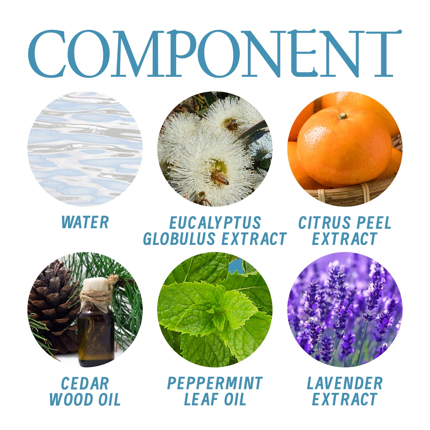 Whole Body Deodorant, Long Lasting Fragrance Clean Body Odor Body Odor Sweat Refreshing Fragrance Care Cream Health Eprolo https://www.cyberehub.com