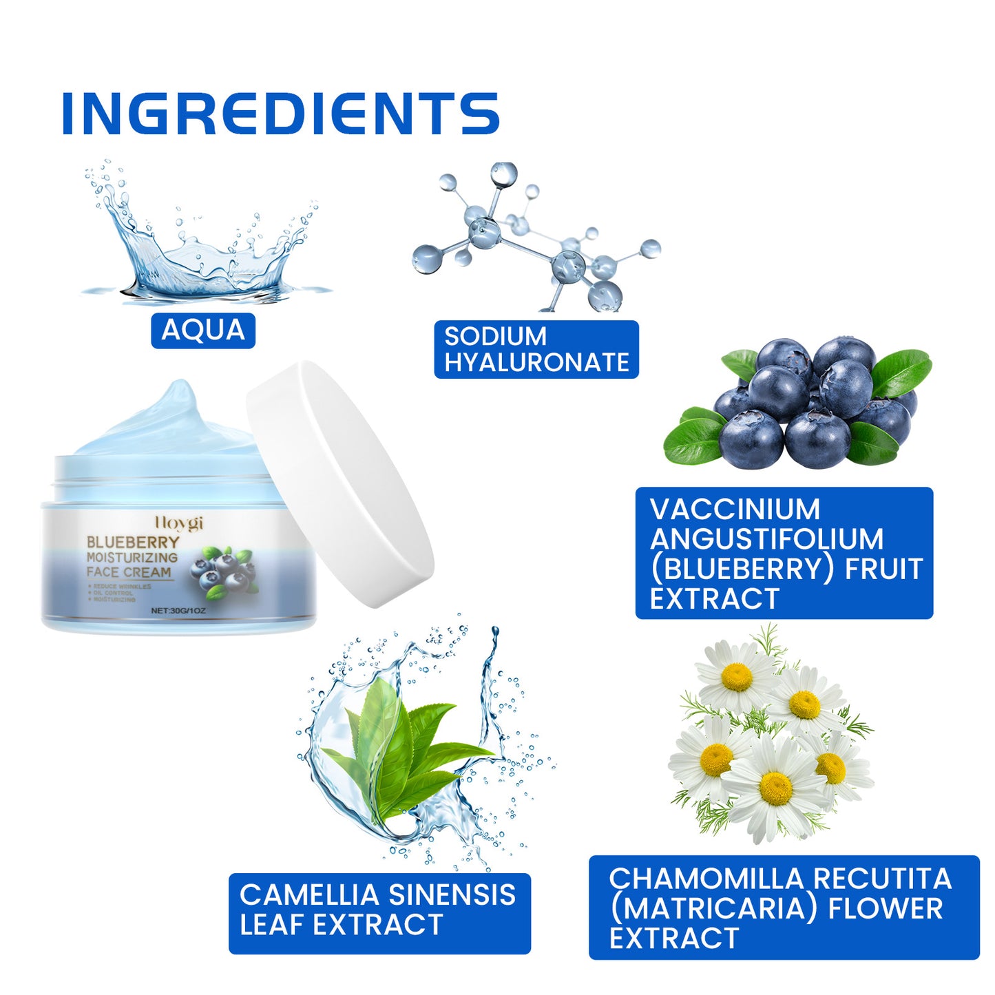 HOYGI Blueberry Facial Care Facial Skin Deep Cleansing Anti-Wrinkle Skin Care Essence Beauty Brightening Cream Health & Beauty Health Eprolo https://www.cyberehub.com