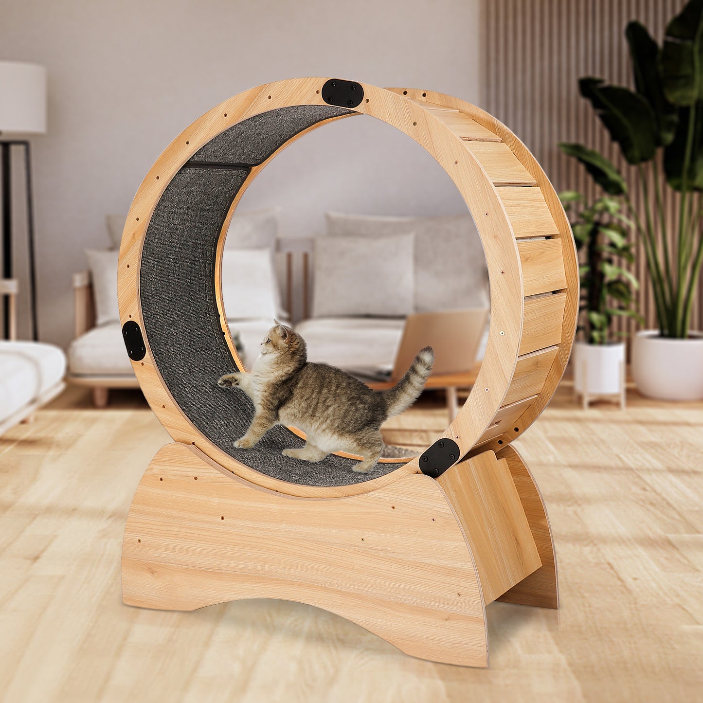 Cat Exercise Wheel – Running, Spinning, and Scratching Fun, Cat Treadmill with Carpeted Runway, Kitty Cat Sport Toy, Great for Physical Activity and Reducing Boredom Giga GNJ Home Home & Garden Giga https://www.cyberehub.com