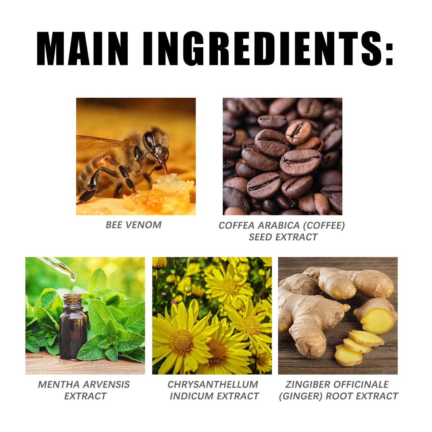South Moon Bee Venom Care Cream Gentle Light Care Firming Muscle Curves Body Moisturizing Moisturizer Health Eprolo https://www.cyberehub.com
