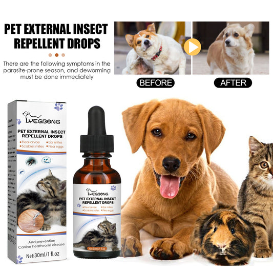 Yegbong Pet Extracorporeal Insect Repellent Drops, Cats And Dogs Clean To Remove Ticks And Fleas Drops Pet Supplies Pet Eprolo https://www.cyberehub.com