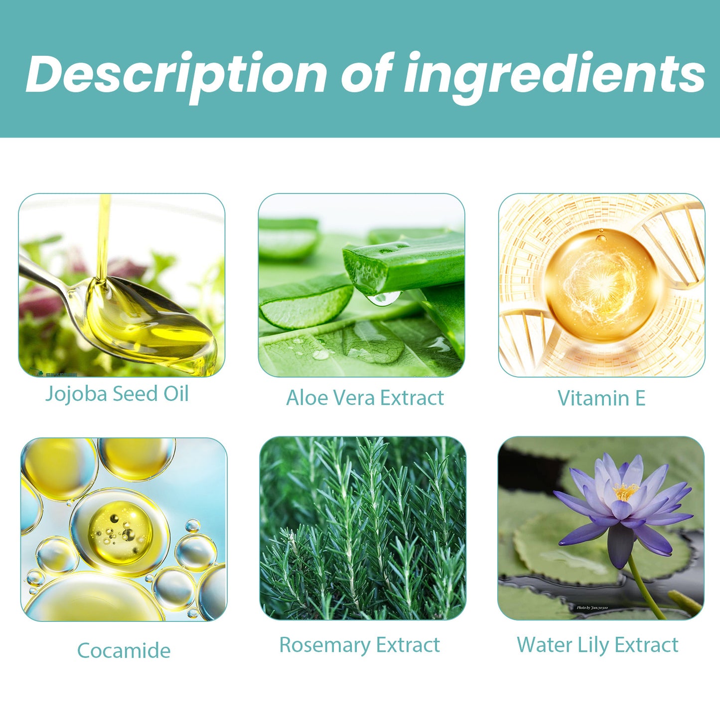 EELHOE Shower Oil Body Cleansing Repairing Skin Moisturizing Lubricating Skin Care Shower Oil Health Beauty CJ USa USPS Muqe https://www.cyberehub.com