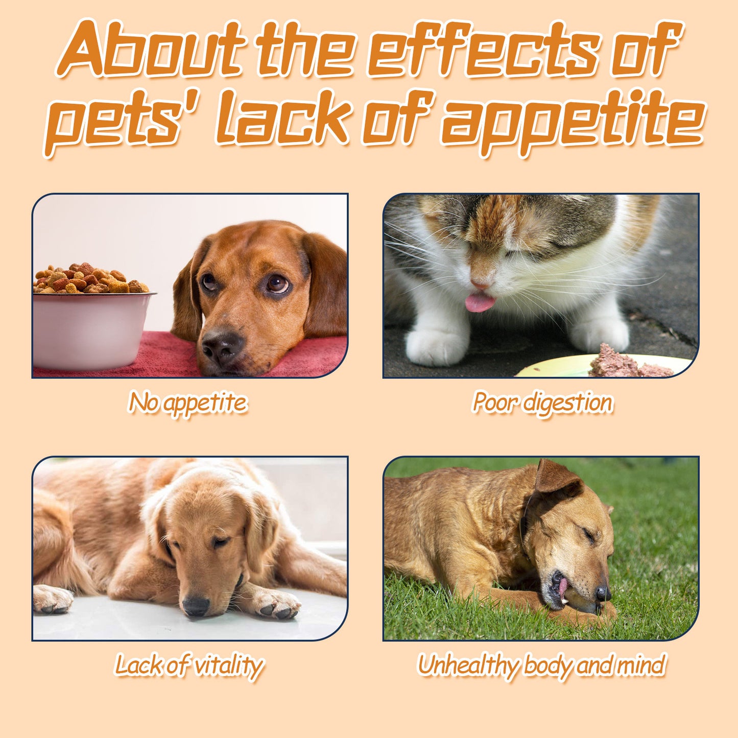 Pet Drops For Every Pets, Energizing And Nourishing Pet Health Care Drops Pet Supplies Pet Eprolo https://www.cyberehub.com