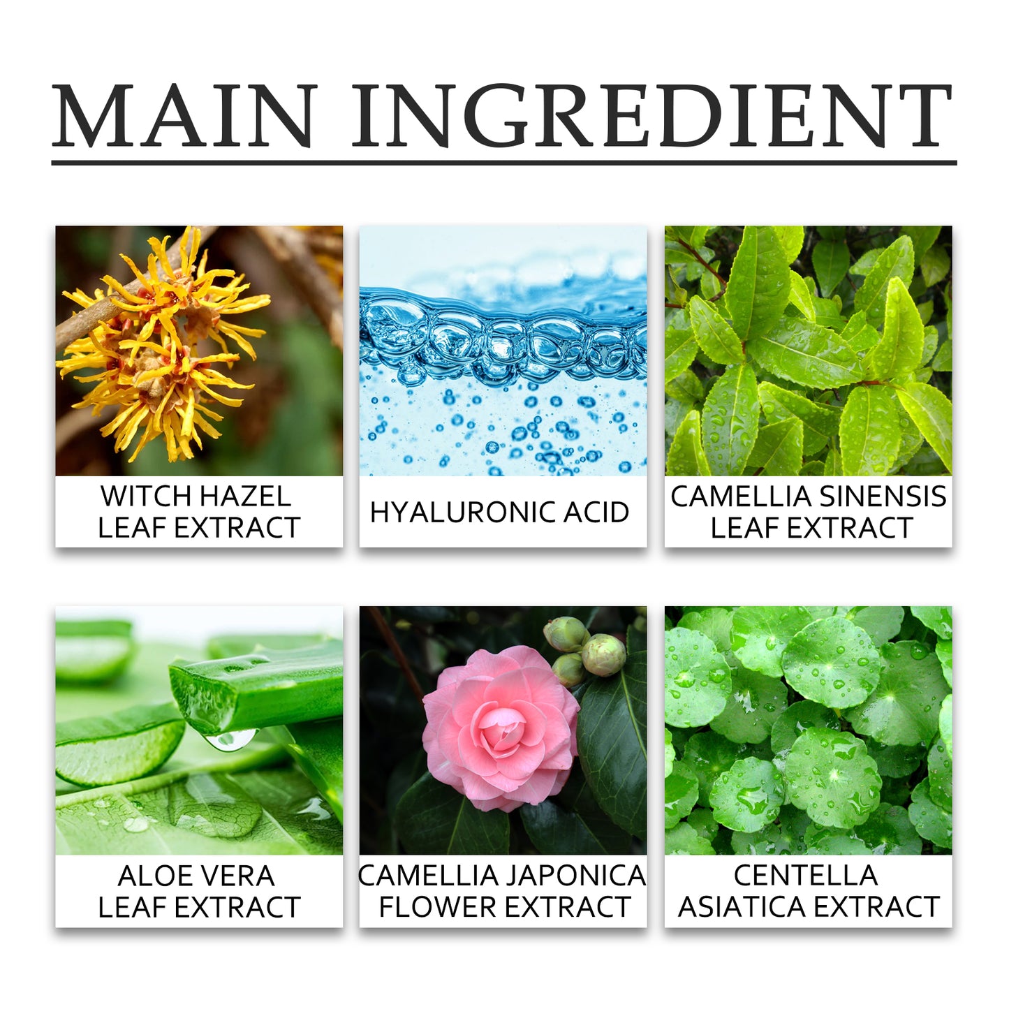 Green Tea Cleansing Mud Mask, Facial Cleansing Moisturizing Whitening Skin Blackhead Acne Removing Mud Mask Health & Beauty Health Eprolo https://www.cyberehub.com