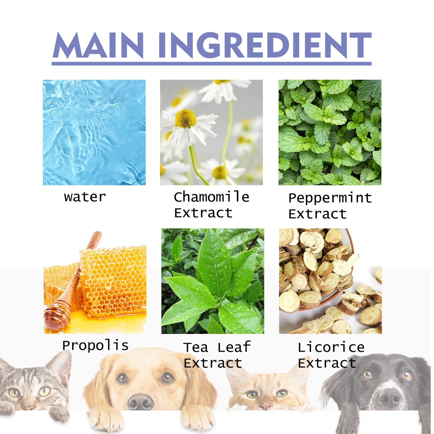 Yegbong Dog And Cat Tooth Cleaning Spray, Pet Mouth Cleaning Breath Fresh Deodorizing Cleaning Spray Pet Supplies Pet Eprolo https://www.cyberehub.com