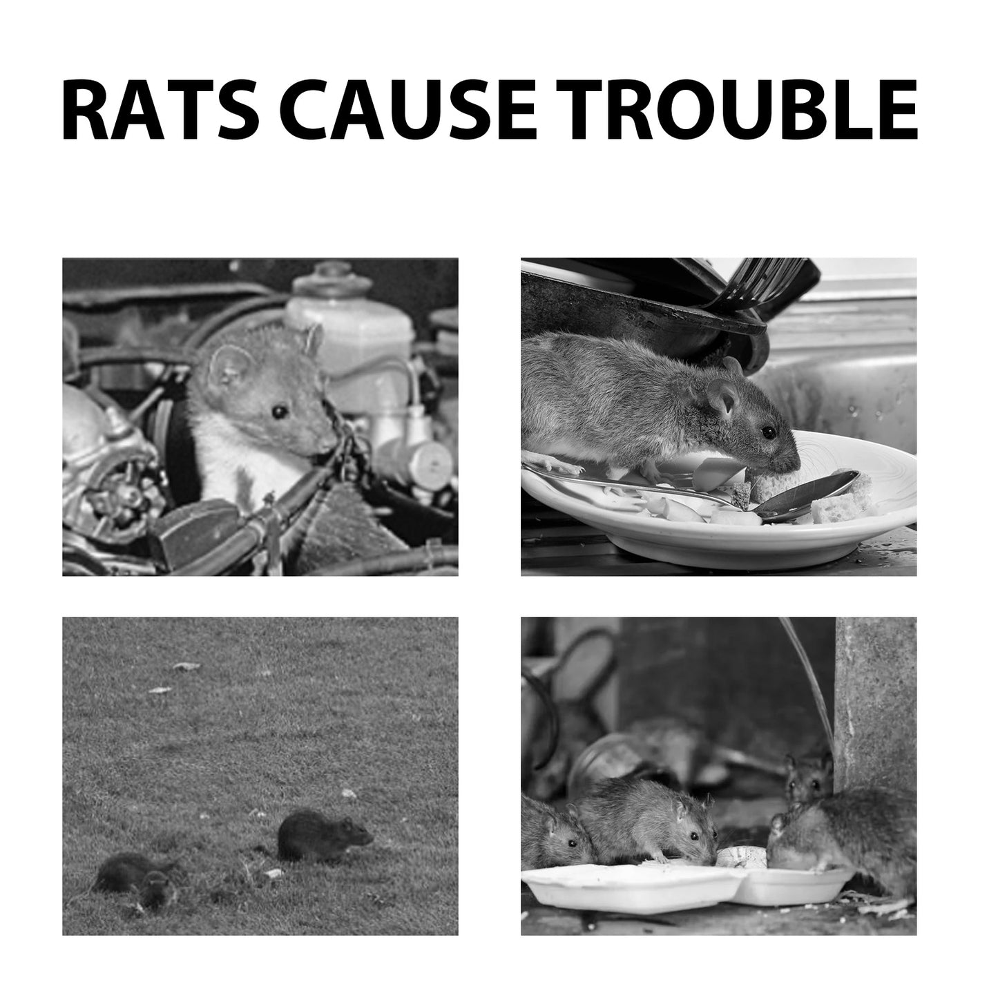 Mouse Repellent Spray, Household Gardening Rat-Repellent Rat-Repellent Solution Cockroach Repellent Mosquito Repellent Spray Home & Garden Home Eprolo https://www.cyberehub.com