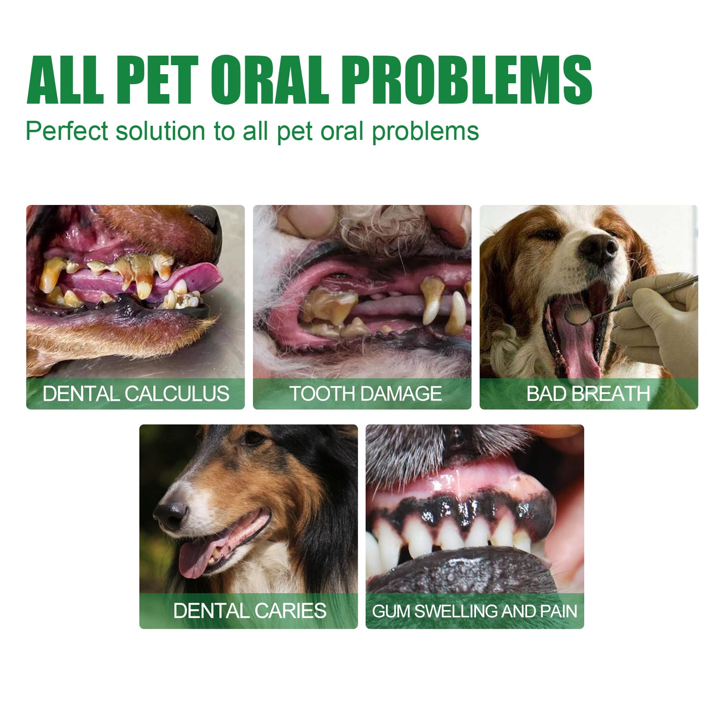 Yegbong Pet Tooth Deodorizer Spray, Cats And Dogs Universal Mouth Cleaning Breath Freshening Spray Pet Supplies Pet Eprolo https://www.cyberehub.com