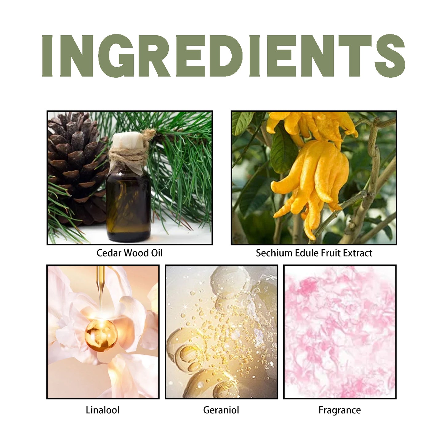 Bergamot Cedarwood Scent Experience Perfume, Fresh Wood Scent Lasting Fragrance Naturally Not Pungent Niche Perfume Health Eprolo https://www.cyberehub.com