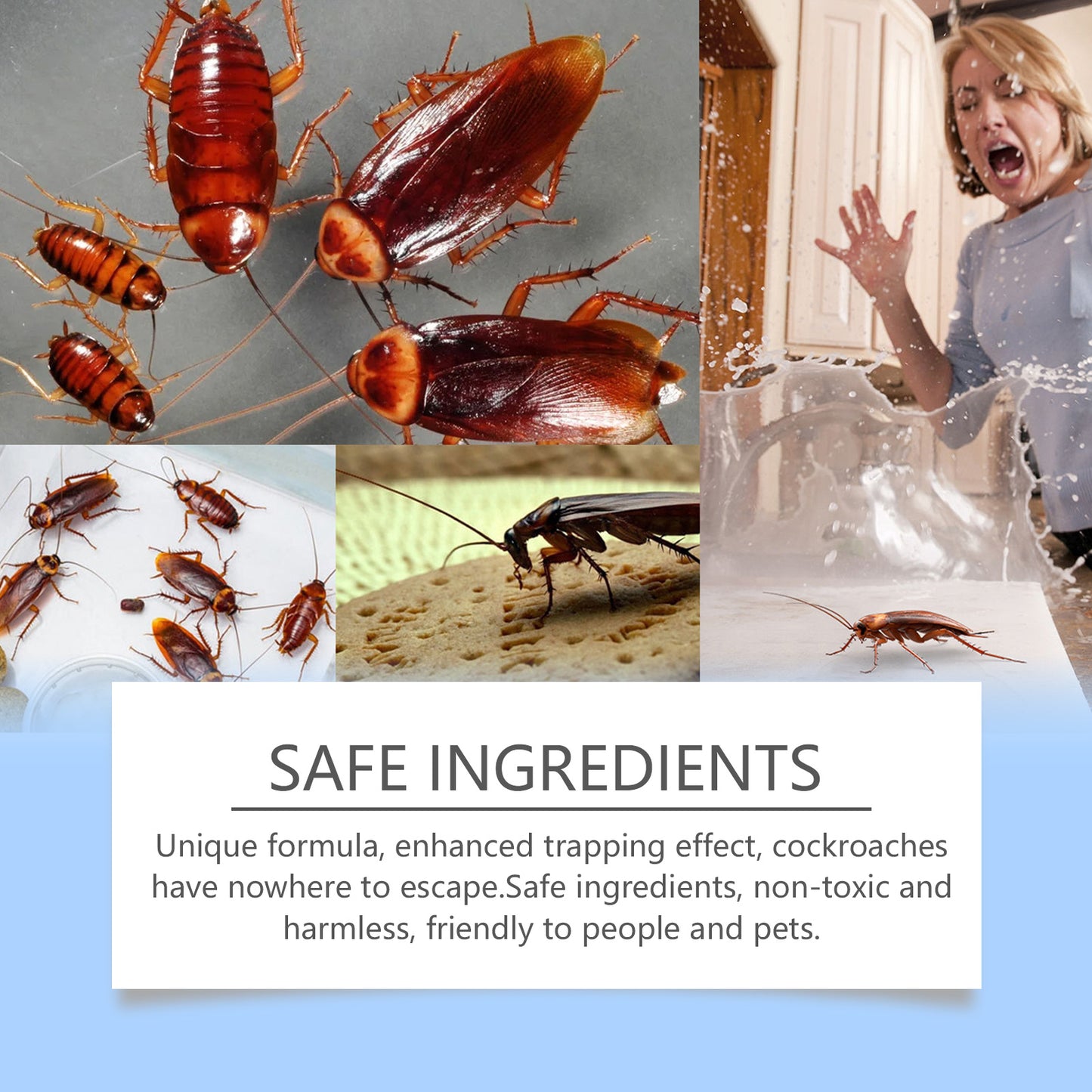 Jue Fish Cockroach Bait Paste Household Cockroach Ointment Bait Cockroach Kill Cockroach Drive Cockroach Kitchen Dormitory Cockroach Paste Home Eprolo https://www.cyberehub.com