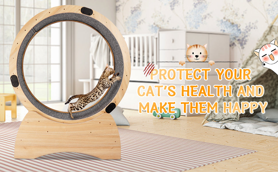 Cat Exercise Wheel – Running, Spinning, and Scratching Fun, Cat Treadmill with Carpeted Runway, Kitty Cat Sport Toy, Great for Physical Activity and Reducing Boredom Giga GNJ Home Home & Garden Giga https://www.cyberehub.com