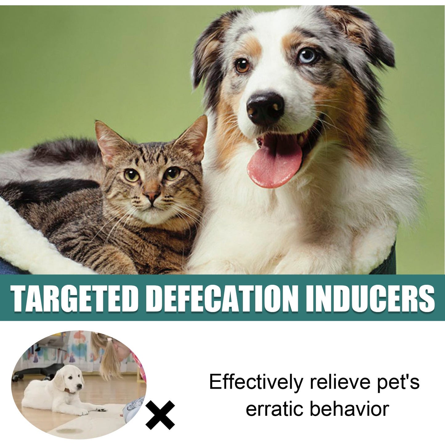 Yegbong Pet Positioning Toilet Inducer Pet Toilet Positioning Toilet Trainer Pet Supplies Health & Beauty Under 10 UniversalMaax https://www.cyberehub.com