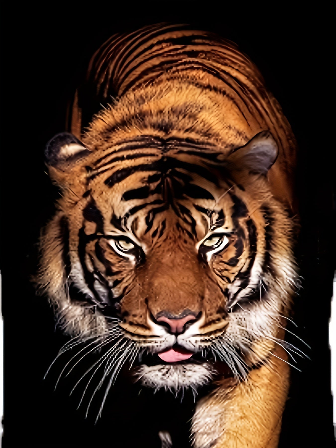 3D Tiger Printed Men's Fashionable Short Sleeved Round Neck T-shirt, Summer Outdoor Apparel/Shirt/Graphic Shirt SNULLO https://www.cyberehub.com