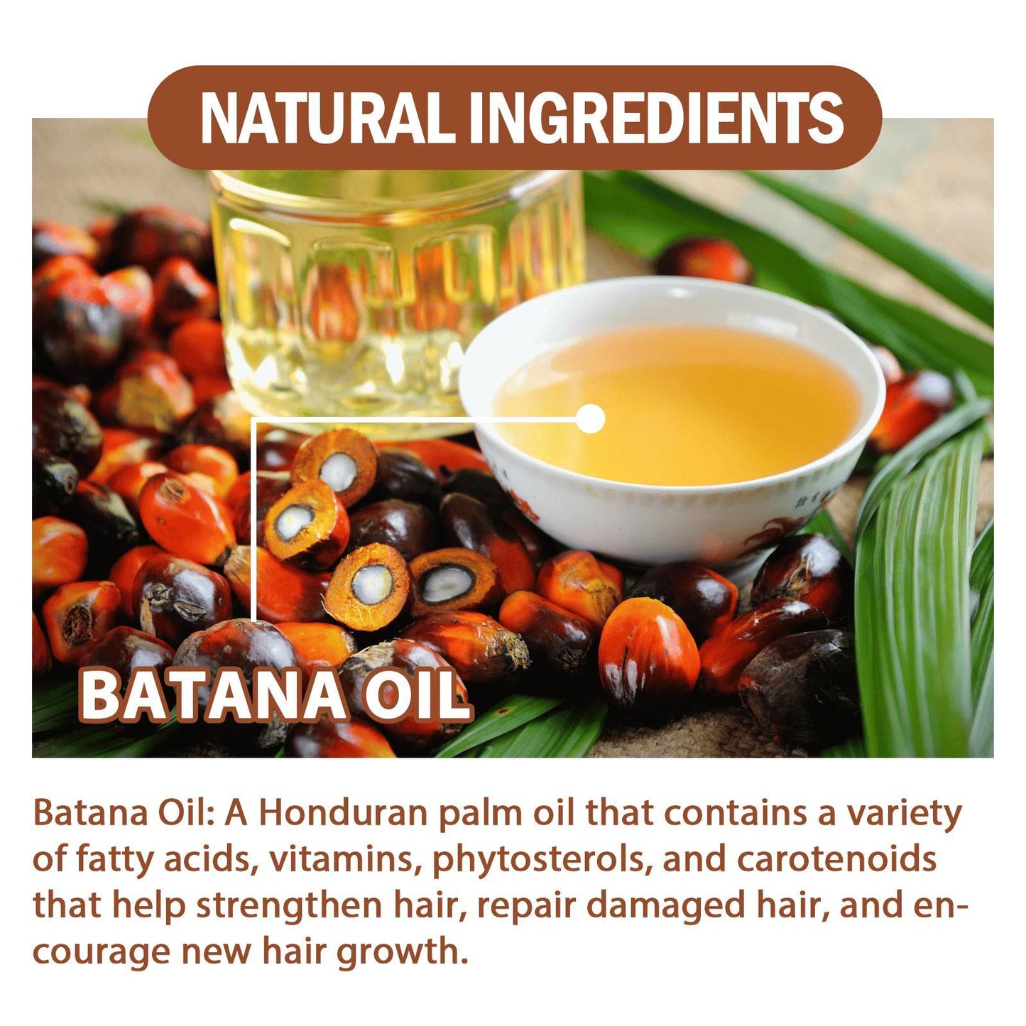 Batana Oil From Honduras - Get Fuller, Thicker, Healthier Hair - Great Gifts For Women Men Conditioner Haircare Silky - Hair Nutrition Health Beauty CJ USa USPS Muqe https://www.cyberehub.com