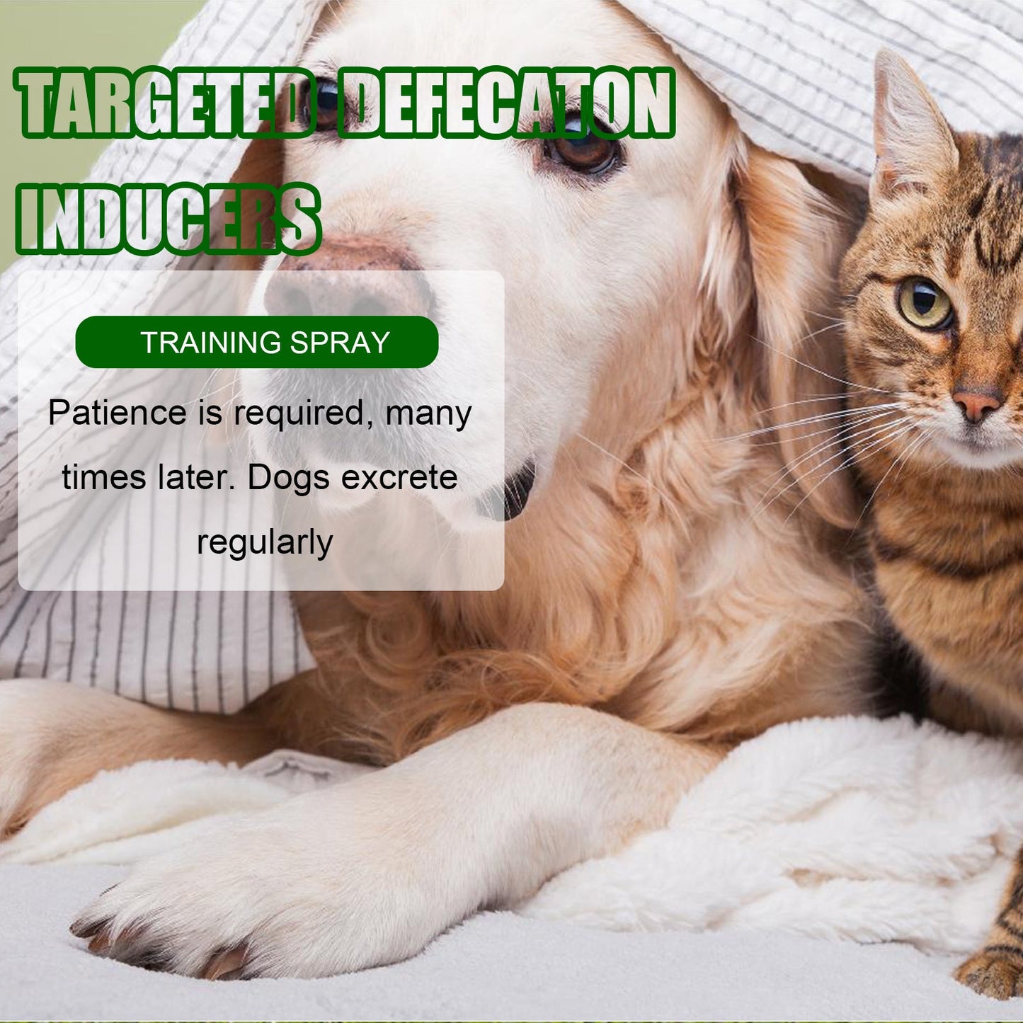 Yegbong Pet Positioning Toilet Inducer Pet Toilet Positioning Toilet Trainer Pet Supplies Health & Beauty Under 10 UniversalMaax https://www.cyberehub.com
