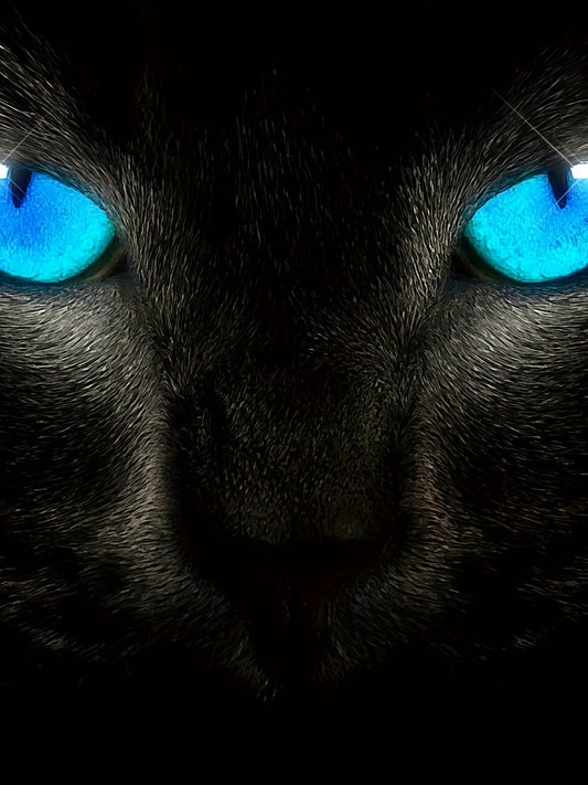 Men's Fashionable Color Blocked Short Sleeved Round Neck T-shirt, Summer Outdoor, 3D Heartbeat And Airplane Graphic Printing Apparel/Shirt/Graphic Shirt SNULLO https://www.cyberehub.com