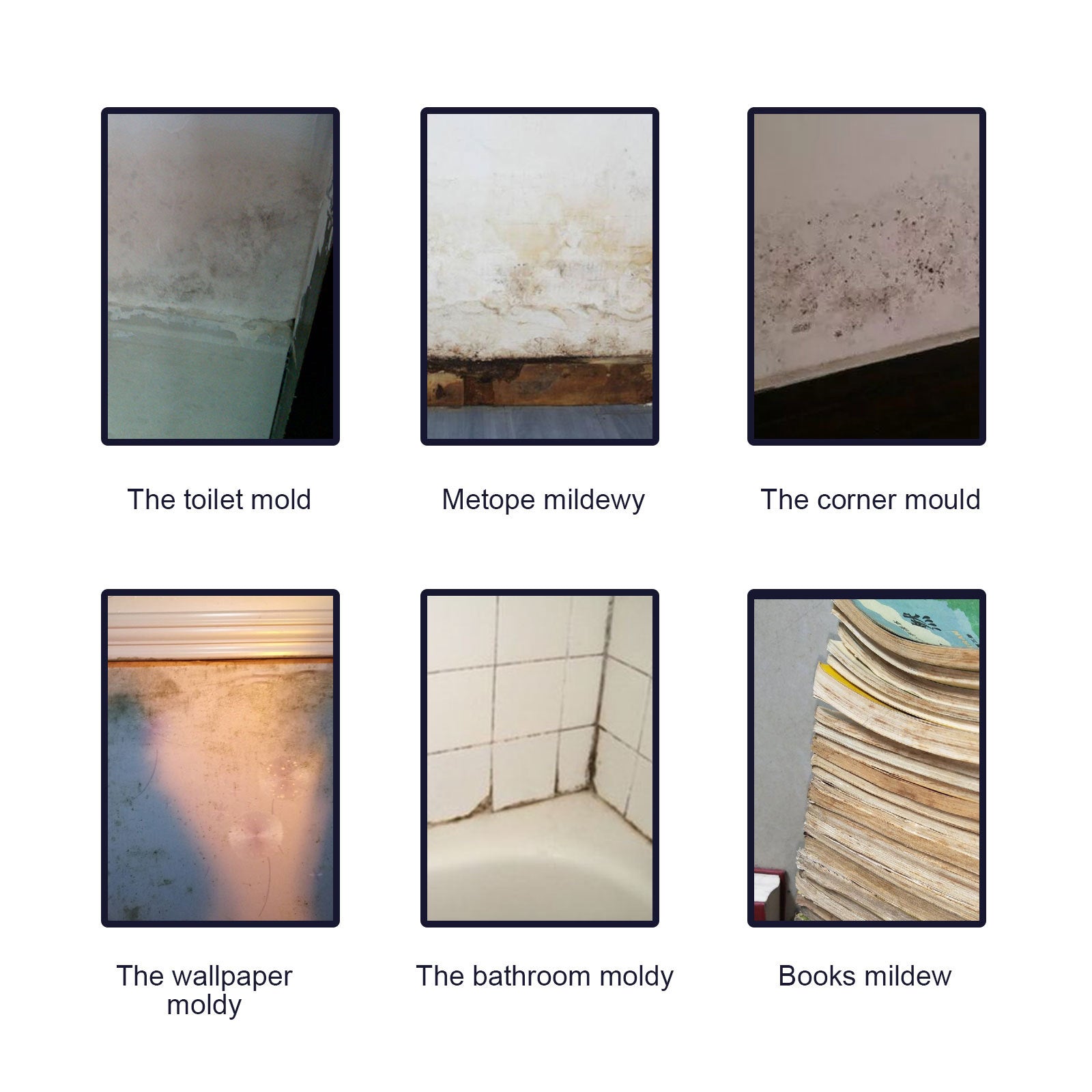Jaysuing Mold Remover Spray, Ceiling Bathroom Tile Wall Multi-Effect Cleaning Decontamination And Mildew Removal Spray Automotive Eprolo https://www.cyberehub.com