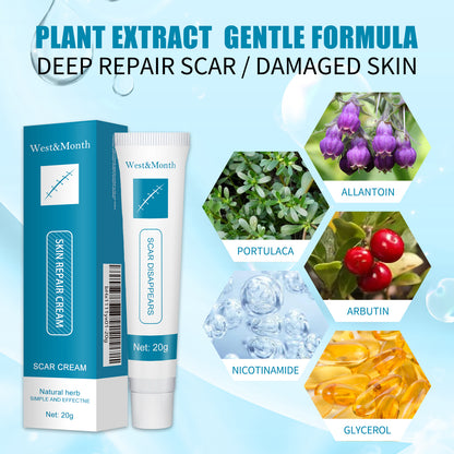 Skin Repair Cream Gentle Moisturizing Hydrating Moisturizing Repair Skin Care Repair Cream Health & Beauty Health Eprolo https://www.cyberehub.com