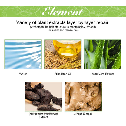 Ginger Care Shampoo Scalp Cleansing, Anti-Break Nourishing Root Strengthening Shampoo Health Eprolo https://www.cyberehub.com