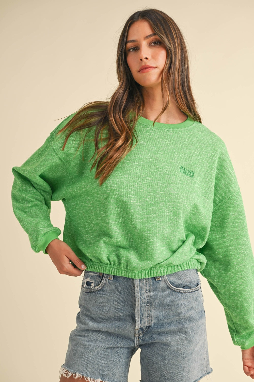 Mable Round Neck Letter Embroidery Crop Sweatshirt Apple Green Tops/Jackets/Sweaters Clothing Tops MABLE Ship from USA TikTok Trendsi USPS Walmart Trendsi https://www.cyberehub.com