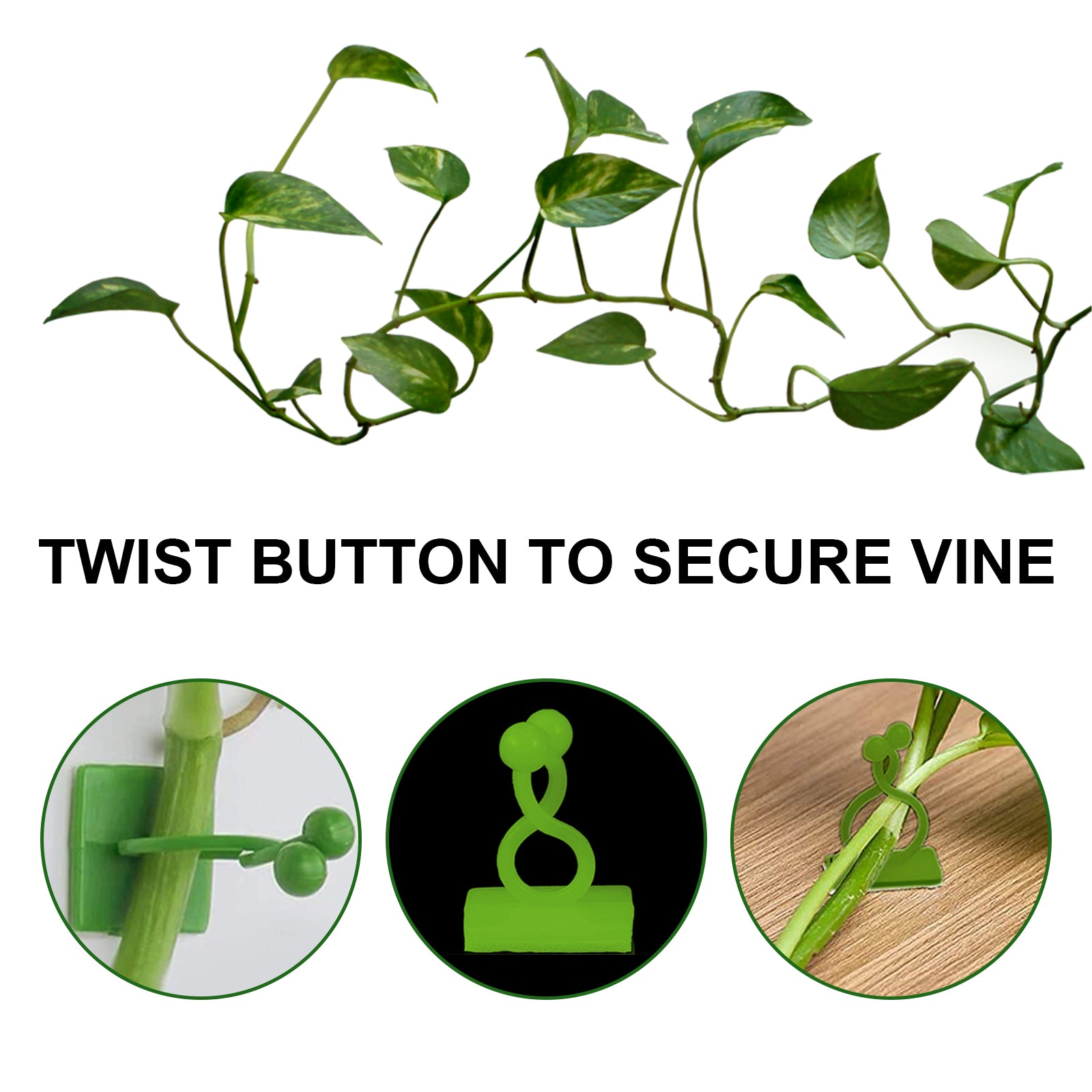 Plant Climbing Wall Holder, Household Vine Plant Wall Climbing Self-adhesive Retainer Health Eprolo https://www.cyberehub.com