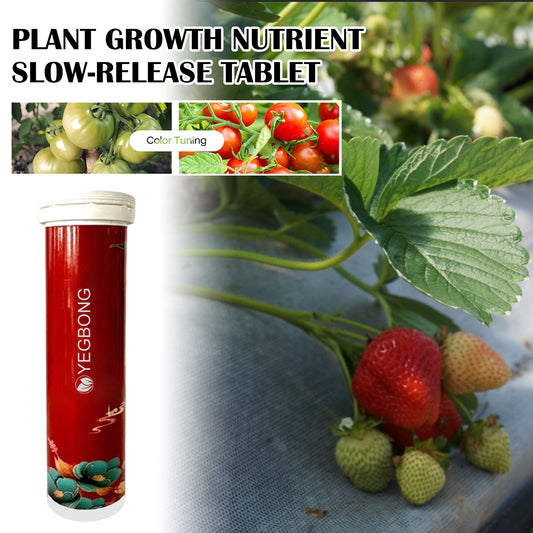 Plant Growth Nutrition Sustained-Release Tablet, Fruit And Vegetable Plant Pot Root Growth Universal Nutrition Tablet default title Health Eprolo https://www.cyberehub.com