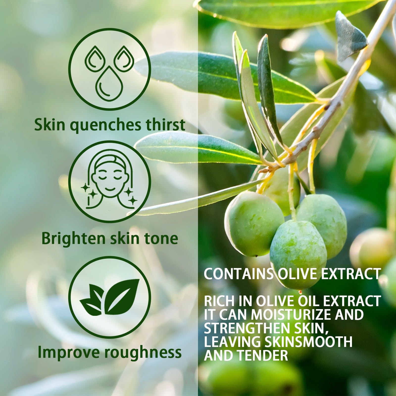 Olive Acne-Clearing Essence, Lightening Acne Mark Removing Closed Mouth Acne Dark Skin Repair Essence Health Eprolo https://www.cyberehub.com
