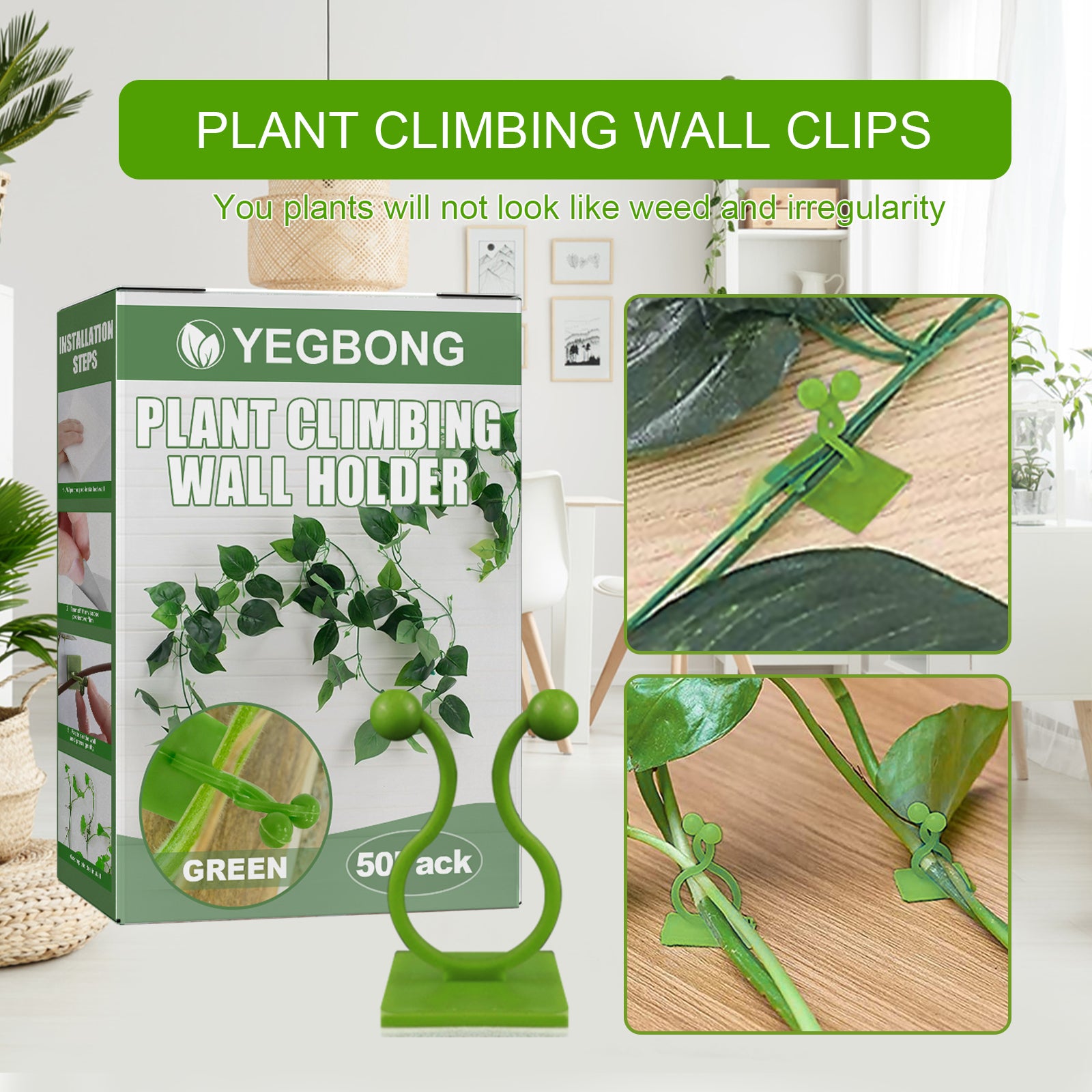 Plant Climbing Wall Holder, Household Vine Plant Wall Climbing Self-adhesive Retainer Health Eprolo https://www.cyberehub.com
