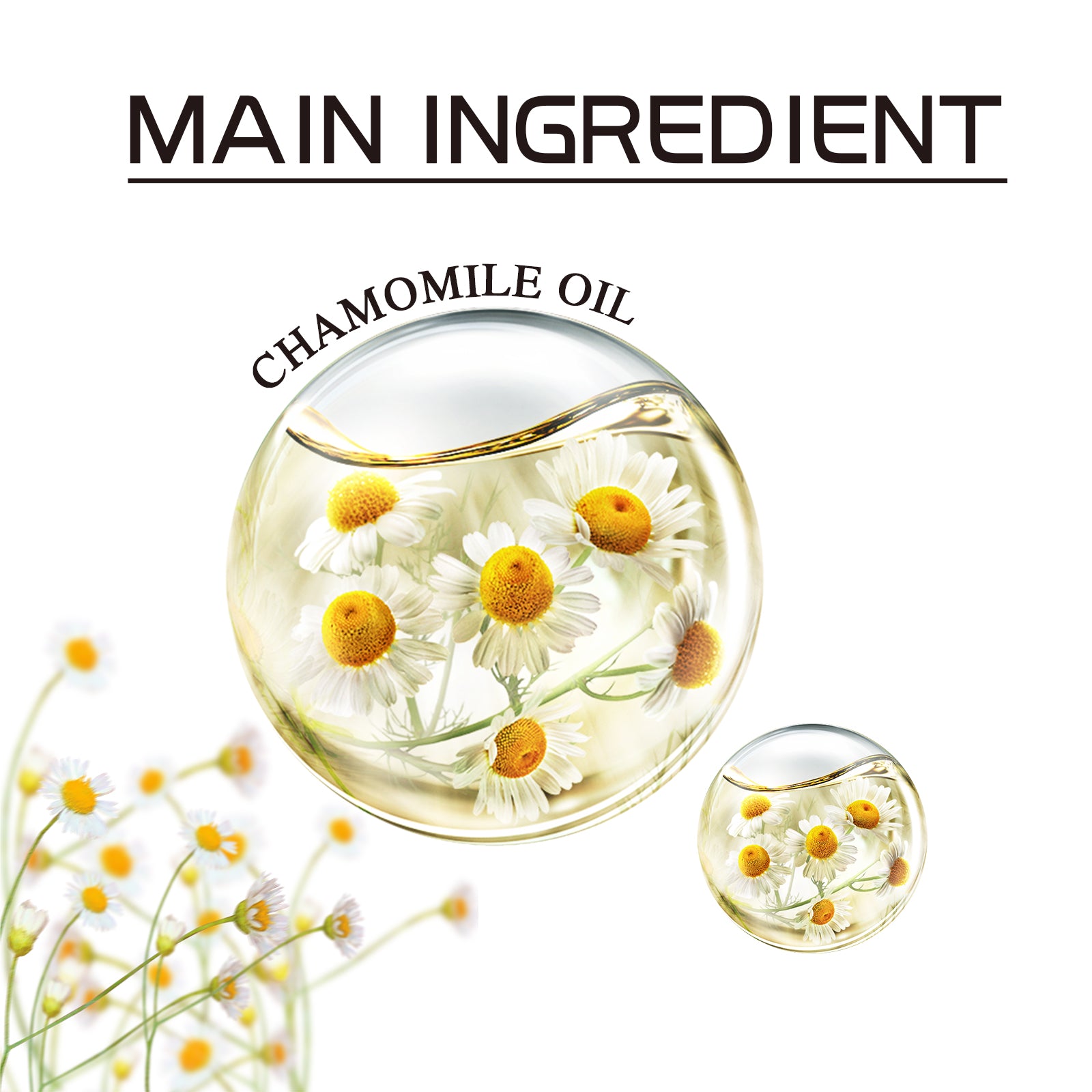 Chamomile Leg Essential Oil Protects Leg Skin And Relieves Leg Discomfort With Daily Massage Essential Oil Health Eprolo https://www.cyberehub.com