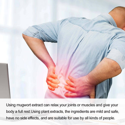 Wormwood Joint Patch Series Of Body Care Patches For Joints, Bones, Waist, Shoulders And Neck Pain Health Eprolo https://www.cyberehub.com