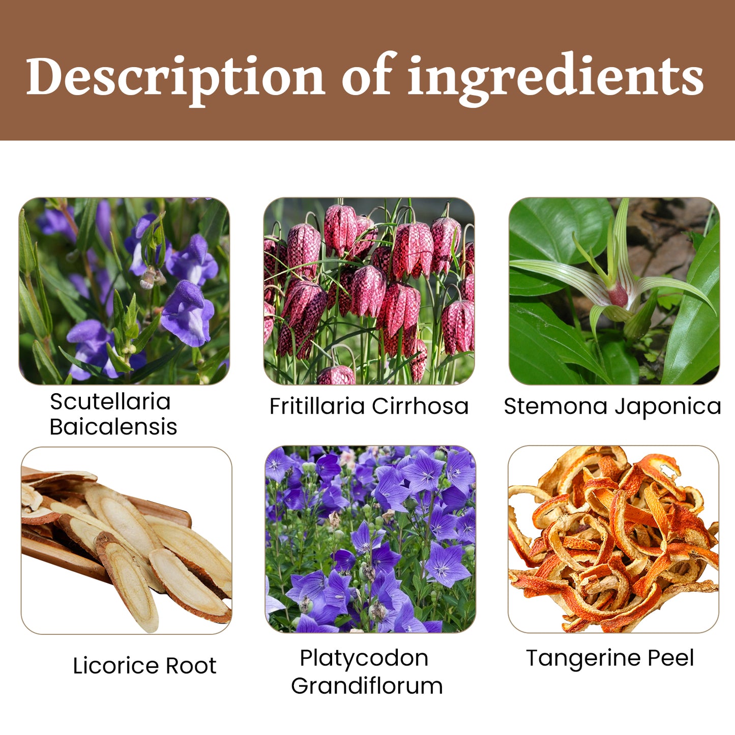 Expectorant Ointment, Body Care Relief Phlegm Throat Dry Itching Foreign Body Point Discomfort Repair Cream Health Eprolo https://www.cyberehub.com