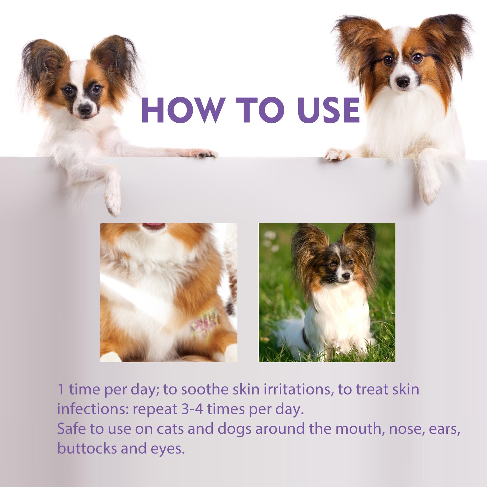 Yegbong Pet Skin Relief Spray, Relieves Dog And Cat Skin Itchiness Eliminates Mites Cleaning Care Spray Pet Supplies Pet Eprolo https://www.cyberehub.com