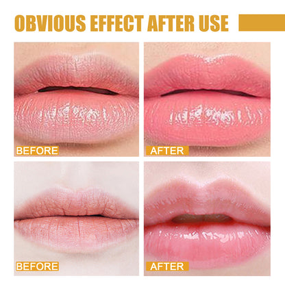 EELHOE Honey Lip Mask Moisturizing Exfoliating Lip Care Bee Lipstick Health Beauty CJ USa USPS Muqe https://www.cyberehub.com