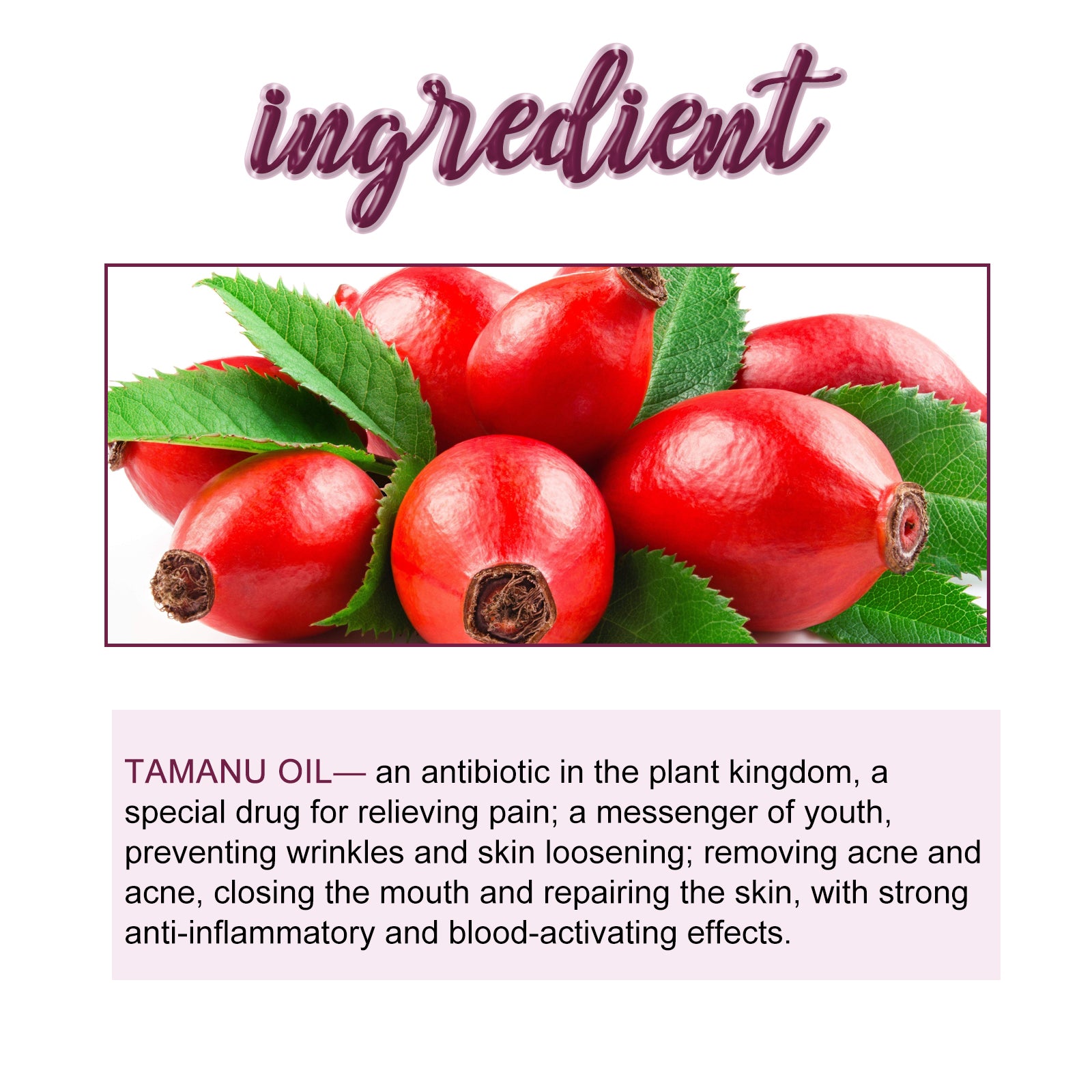 Tamanu Facial Oil, Relieves Acne Marks Fine Lines Moisturizes and Firms Skin Essential Oil Health Eprolo https://www.cyberehub.com