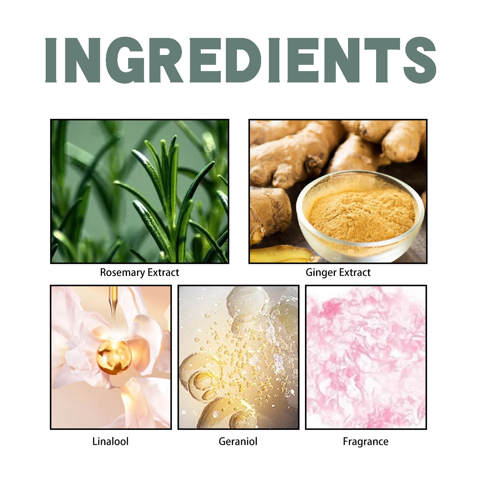 Rosemary Ginger Scent Experience Perfume, Natural Fragrance Behind The Ear And Wrist For Women Health Eprolo https://www.cyberehub.com