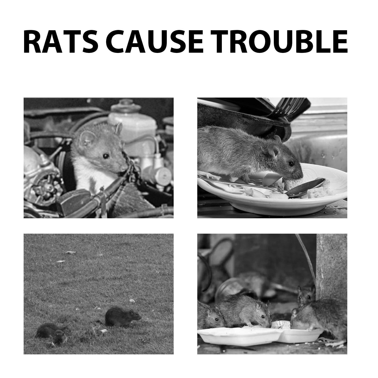 Mouse Repeller, Car Engine Outdoor Home Indoor Mouse Repellent Mouse Repellent Pill Home & Garden Home Eprolo https://www.cyberehub.com