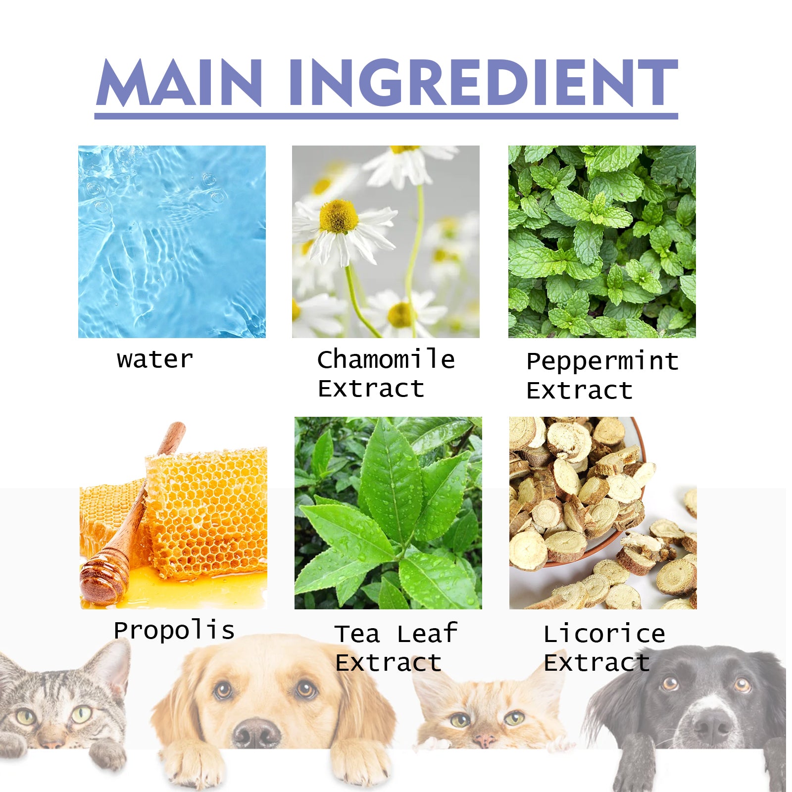 Yegbong Dog And Cat Tooth Cleaning Spray, Pet Mouth Cleaning Breath Fresh Deodorizing Cleaning Spray Pet Supplies Pet Eprolo https://www.cyberehub.com